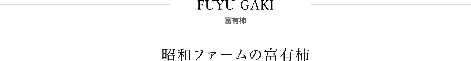 昭和ファームの富有柿